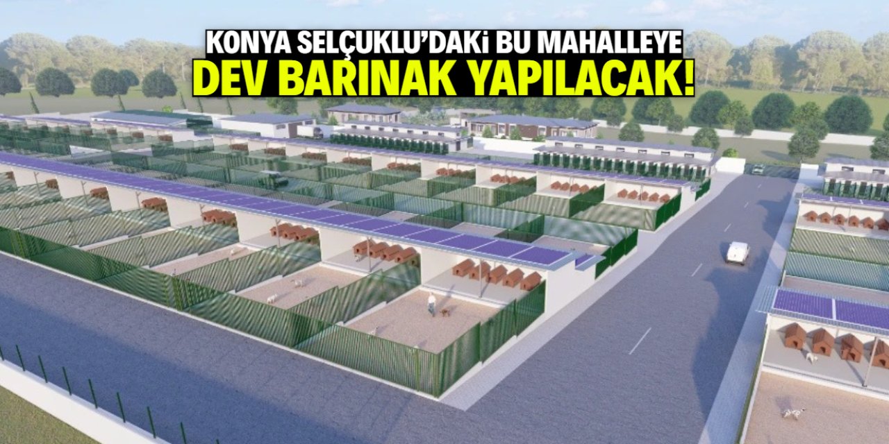 Konya Selçuklu'ya dev barınak yapılacak! Proje görselleri ve konumu belli oldu