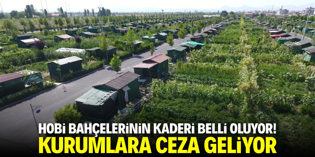 Hobi bahçelerinin kaderi belli oluyor! Kurumlara ceza geliyor