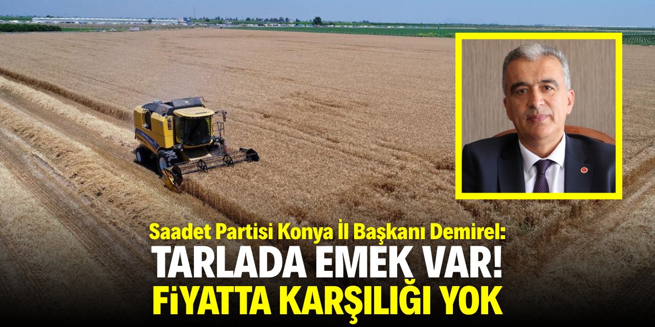 Demirel: Tarlada emek var fiyatta karşılığı yok!