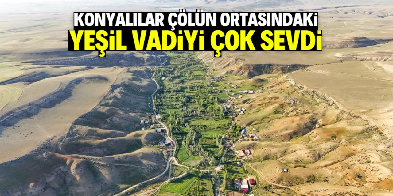Konyalılar çölün ortasındaki yeşil vadiyi çok sevdi: Pikniğe gidiyorlar
