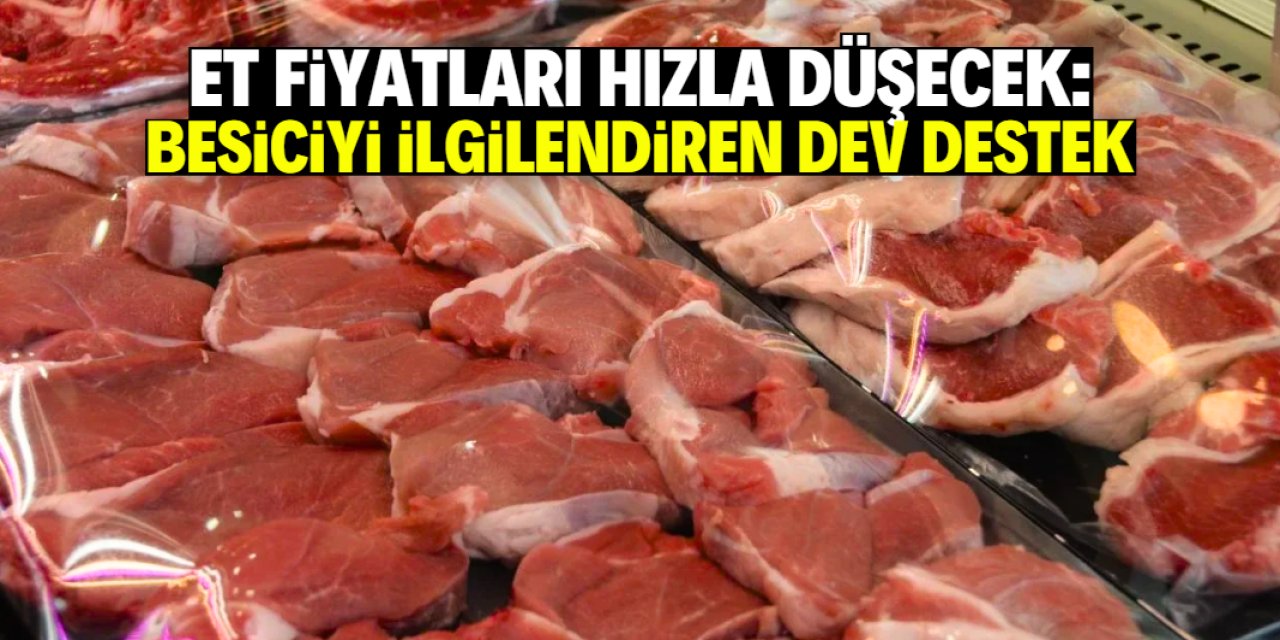 Kırmızı et fiyatlarına yüzde 20 indirim: İşte besicileri ilgilendiren o proje