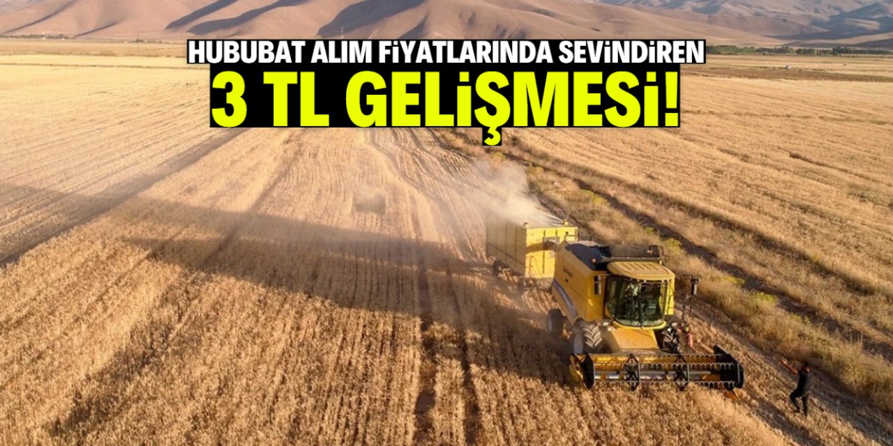 Hububat alım fiyatlarında sevindiren gelişme! 21 gün ve 3 TL detayı