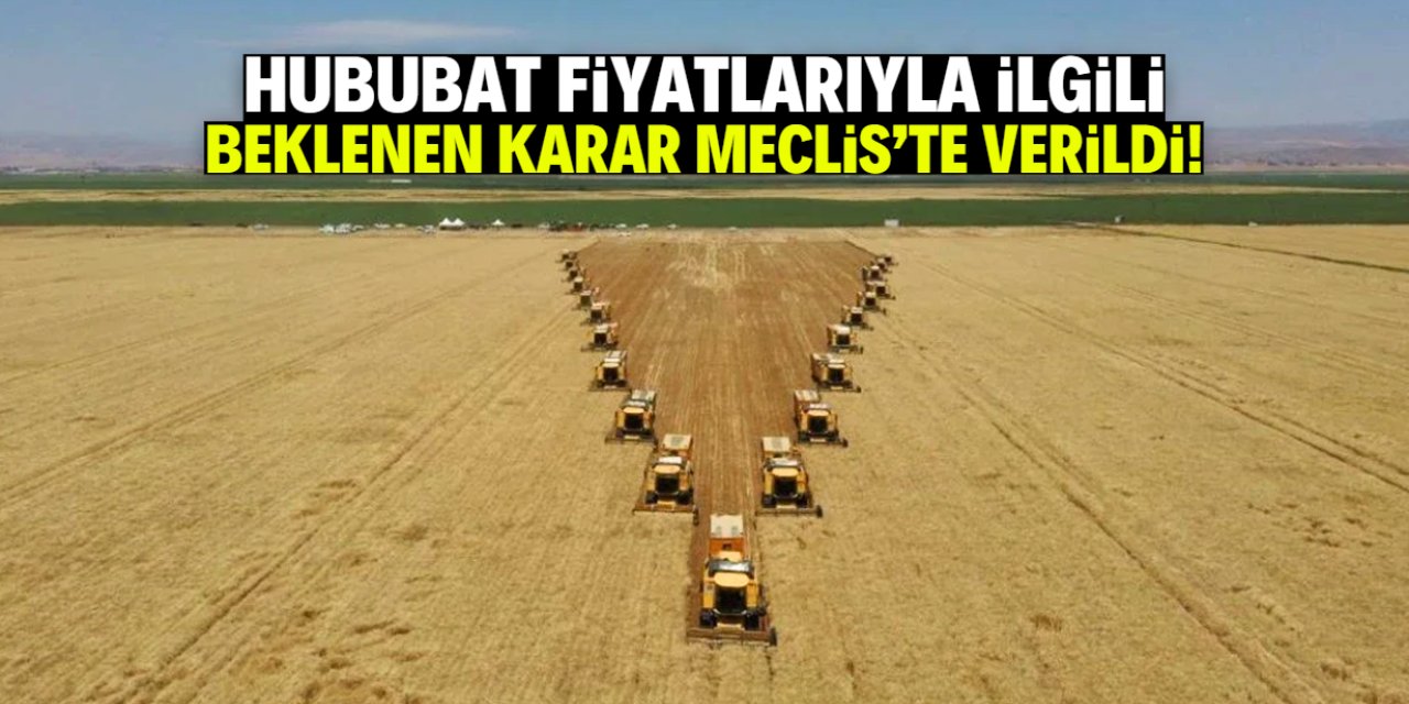 Hububat fiyatlarıyla ilgili çiftçinin beklediği ka
