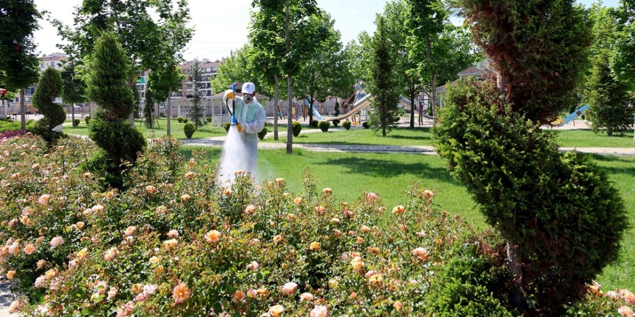 Karatay'da ilaçlama çalışmaları sürüyor