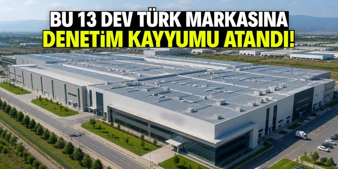 Türkiye'nin 13 dev şirketine denetim kayyumu atandı! İşte o markalar