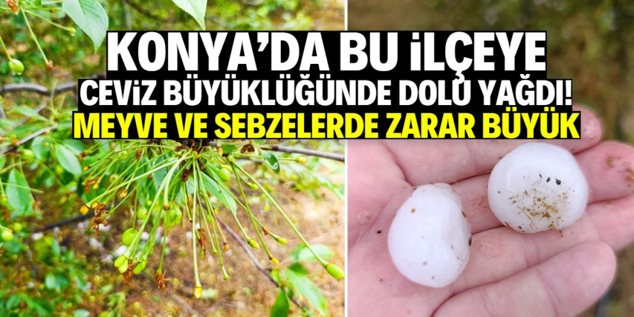 Konya'da bu ilçeyi ceviz büyüklüğünde dolu vurdu