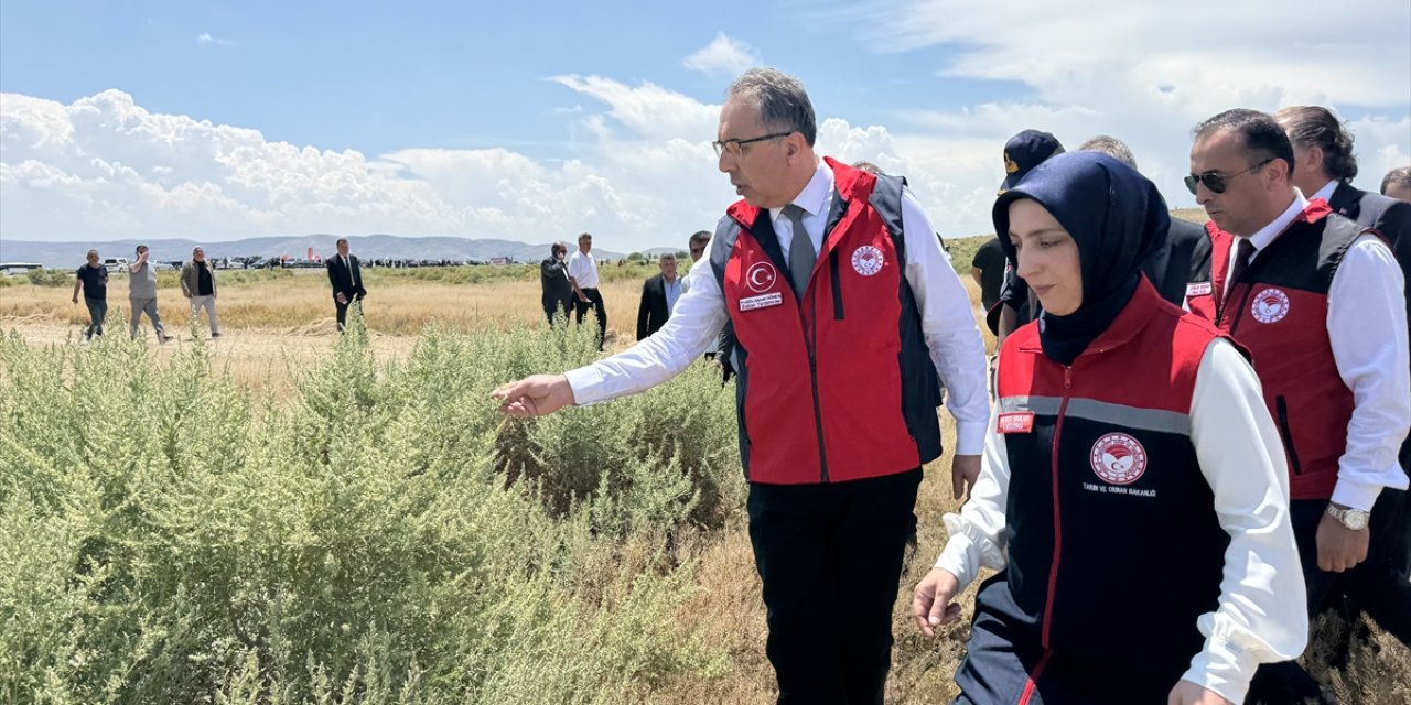 Karaman'da 1730 dekar mera alanı törenle açıldı