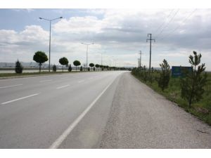 Cumhurbaşkanı Gül’den Karayolu Ağaçlandırmalarına Övgü