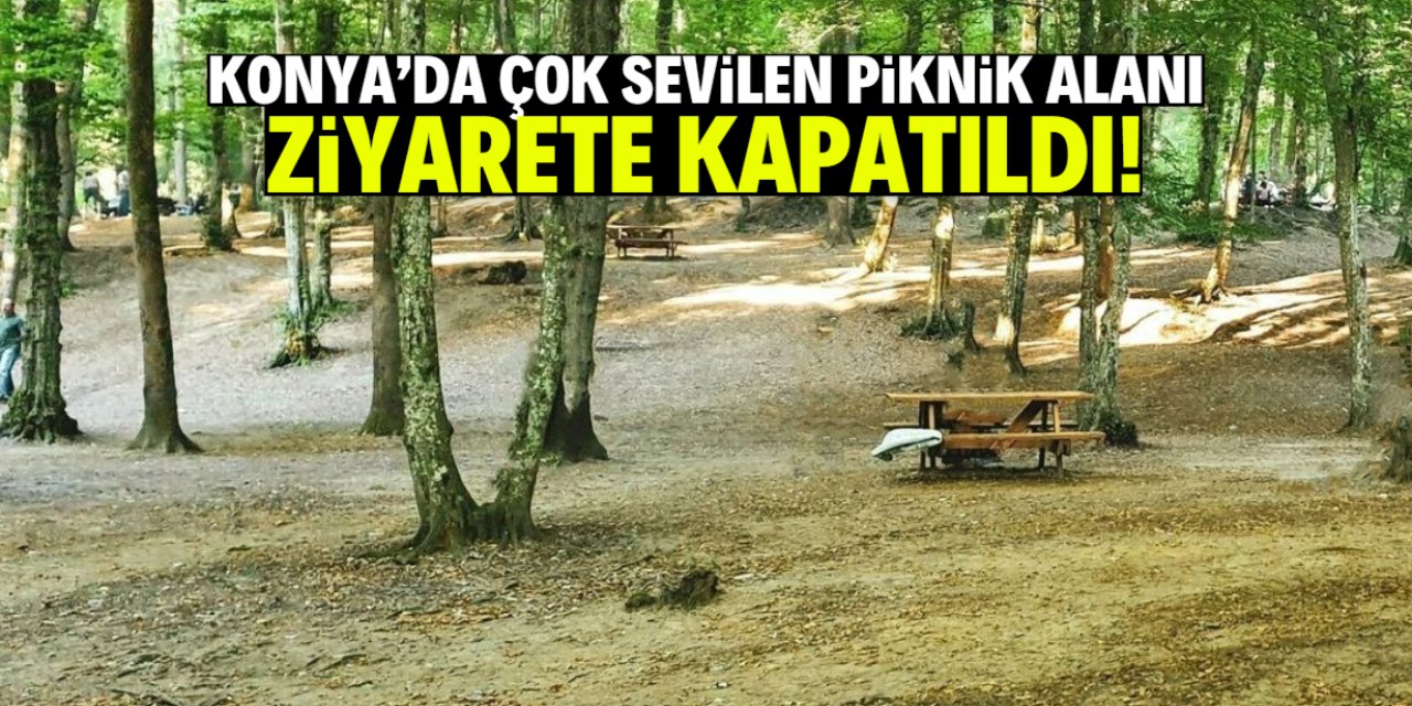 Konya'da popüler piknik alanı ziyarete kapatıldı!