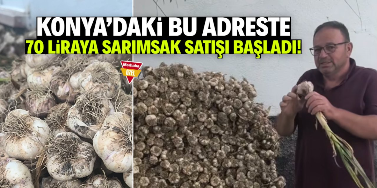 Konya'daki bu adreste 70 liraya sarımsak satışı başladı!