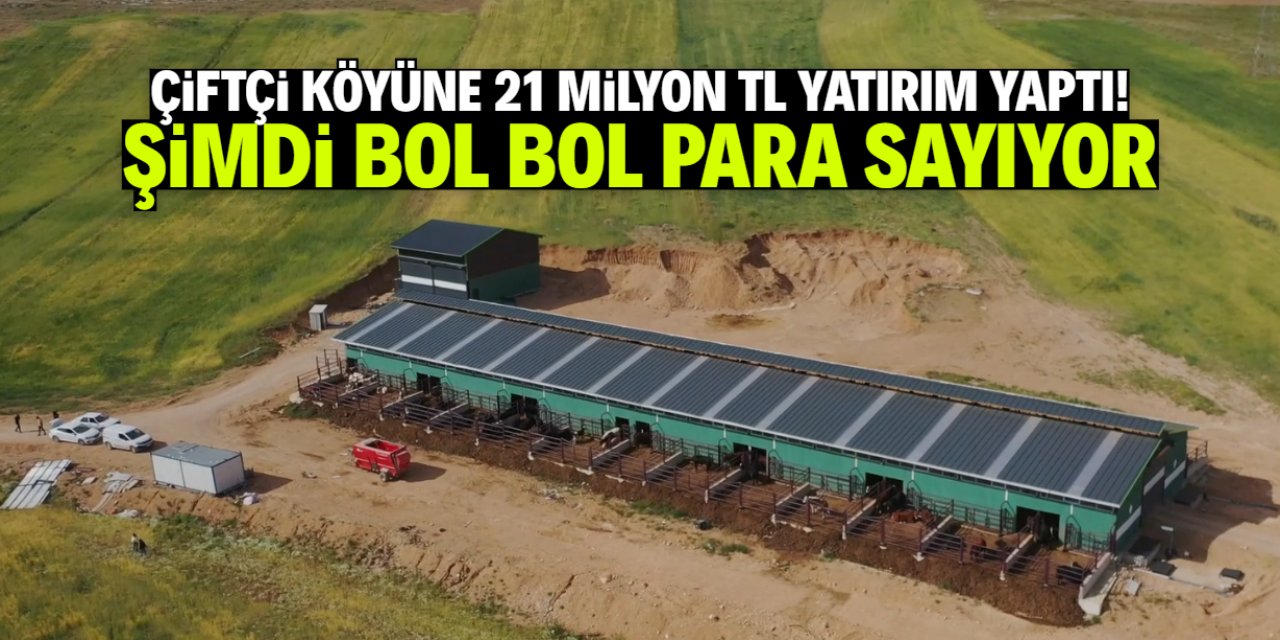Çiftçi köyüne 21 milyon TL yatırım yaptı! Şimdi gece gündüz para sayıyor