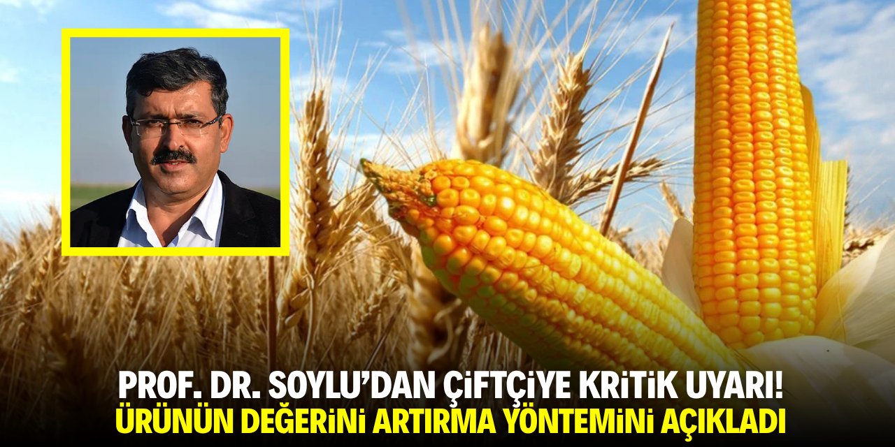 Profesörden çiftçiye kritik uyarı! İşte arpa ve mısırın değerini artırma yöntemi