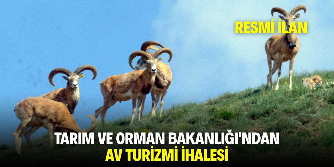 TARIM VE ORMAN BAKANLIĞI'NDAN AV TURİZMİ İHALESİ