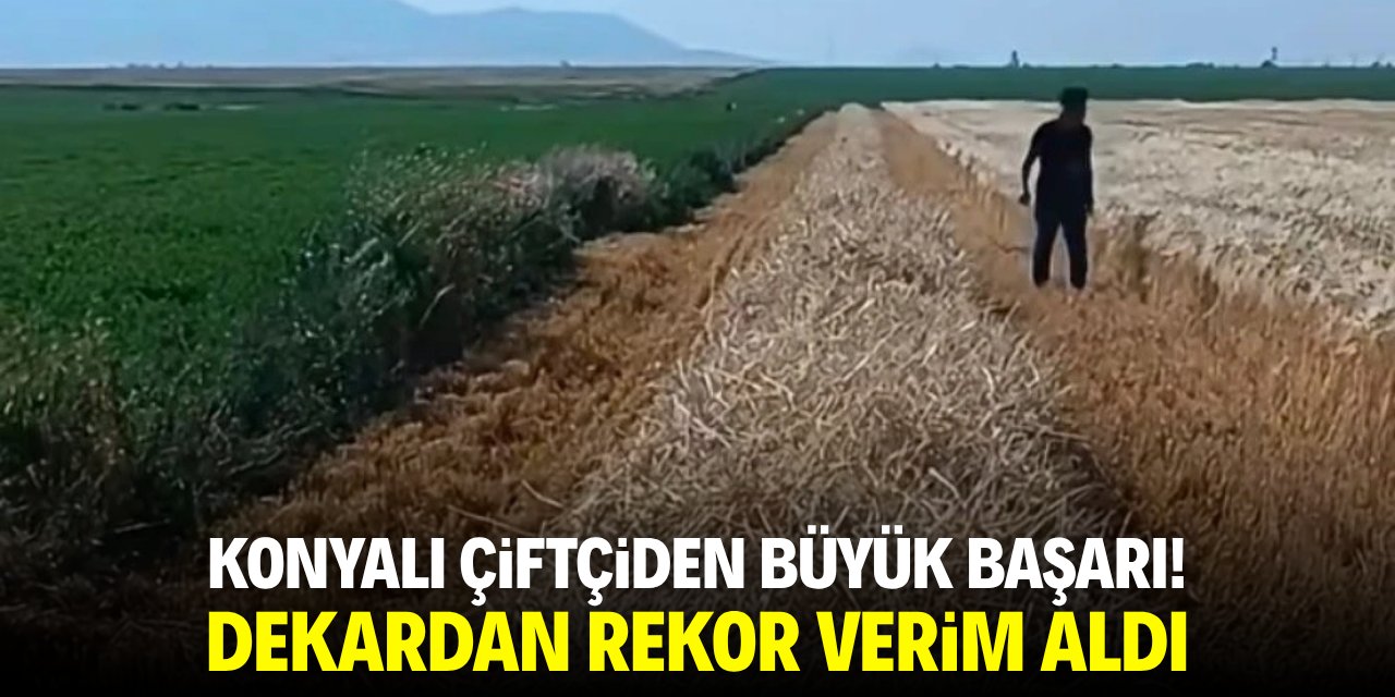 Konyalı çiftçiden büyük başarı! Dekardan rekor verim aldı