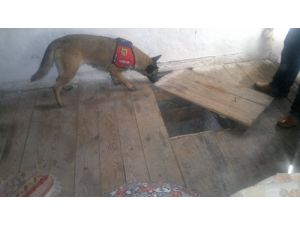 Sındırgı'da Kubar Esrar Ele Geçirildi