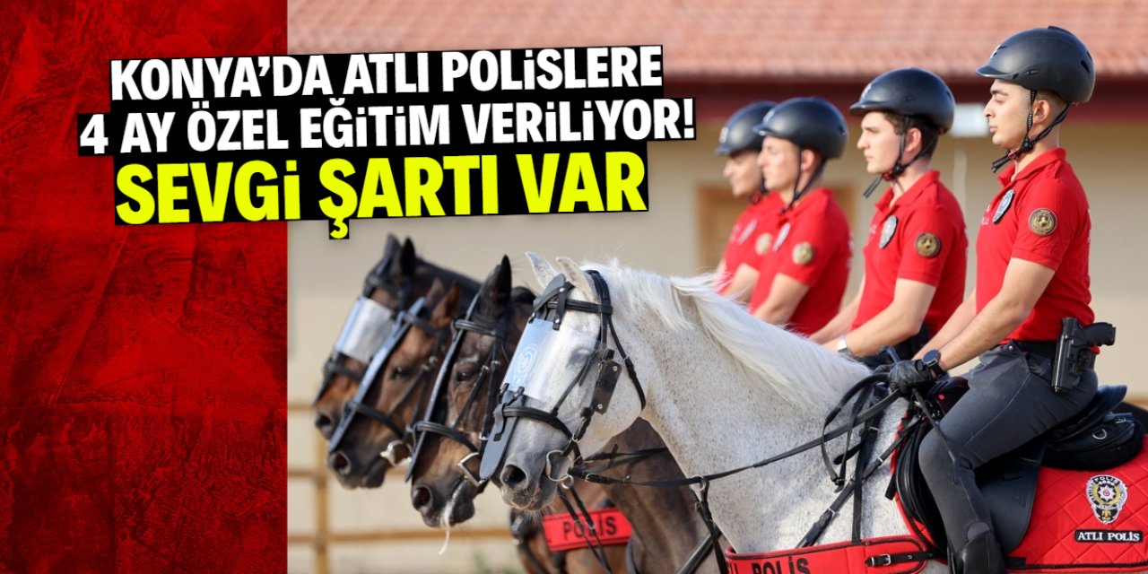 Konya'da atlı polislere 4 ay özel eğitim veriliyor! Sevgi şartı var