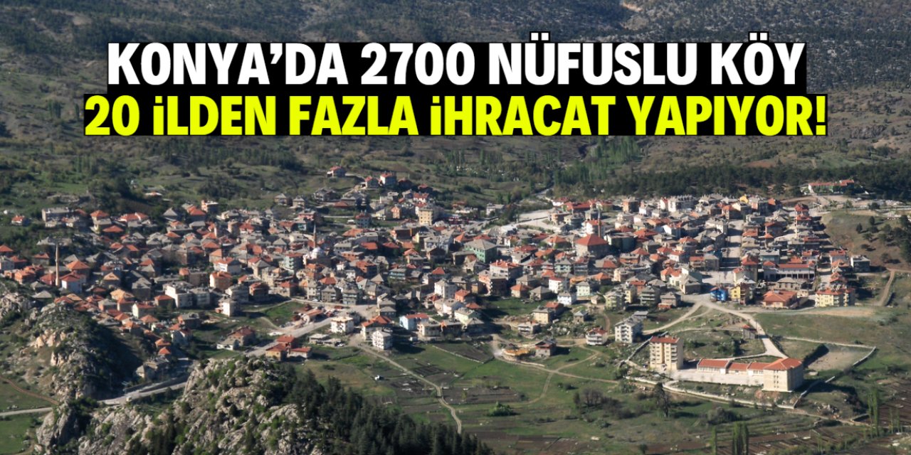 Konya'da 2700 nüfuslu köy 20 ilden daha fazla ihracat yapıyor!