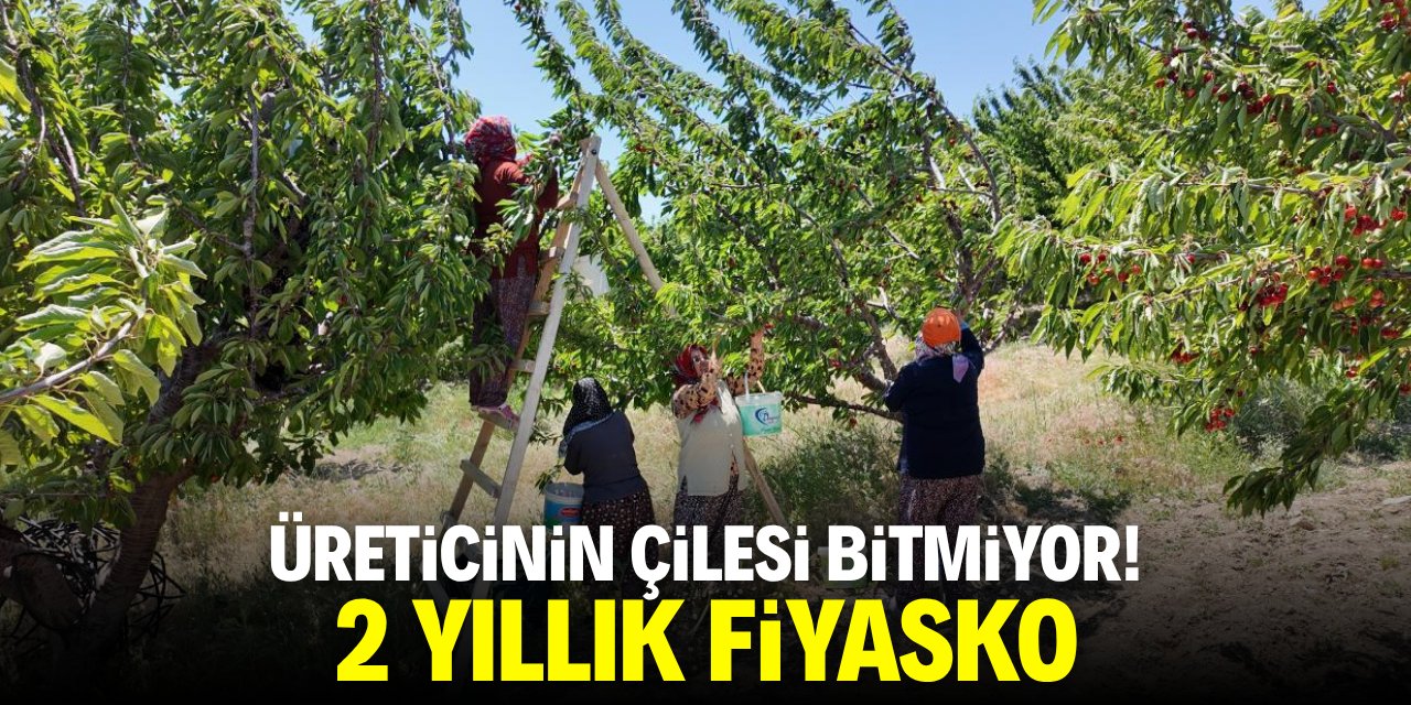 Konya'da üreticinin çilesi bitmiyor! 2 yıllık fiyasko