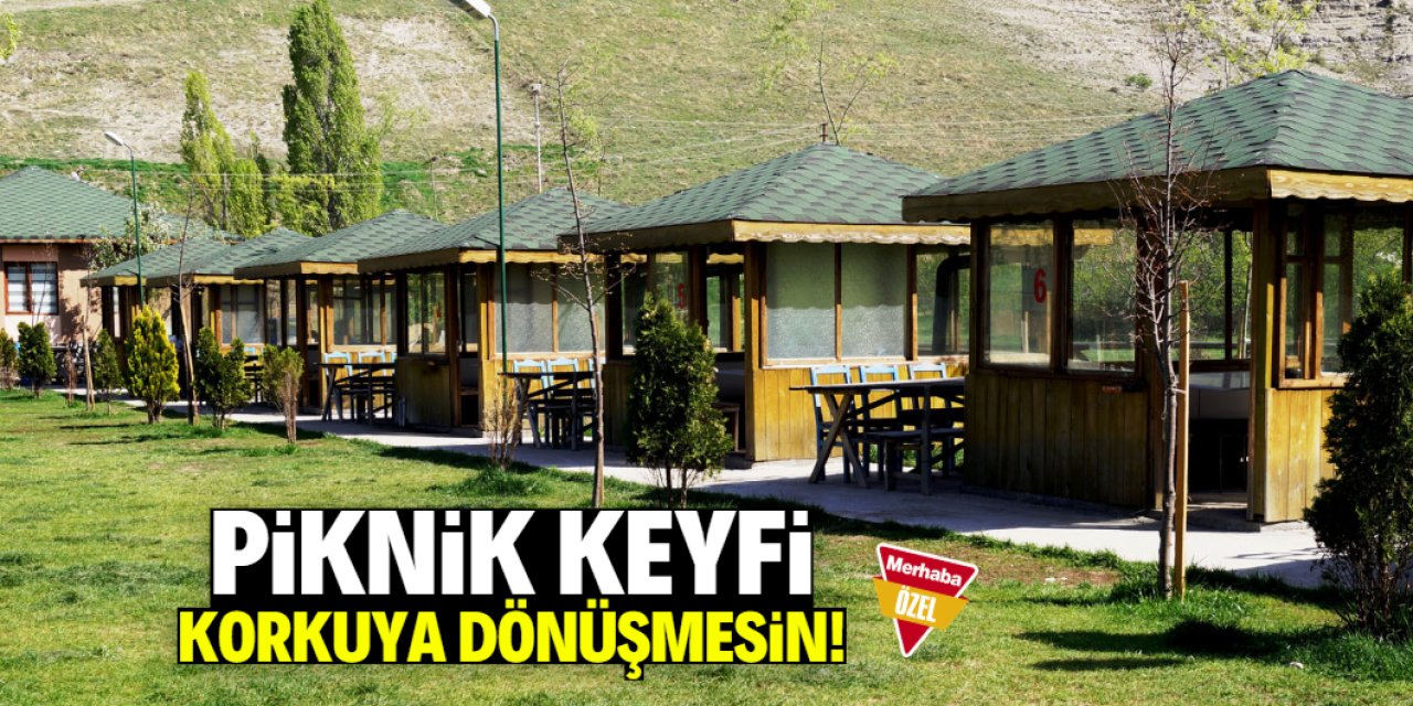 Piknik keyfi korkuya dönüşmesin!