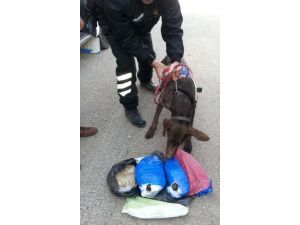 Jandarma Operasyon Yaptı, 5 Kilo Esrar Ele Geçirildi