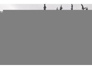 Cilvegözü Sınır Kapısı Giriş Çıkışlara Açıldı