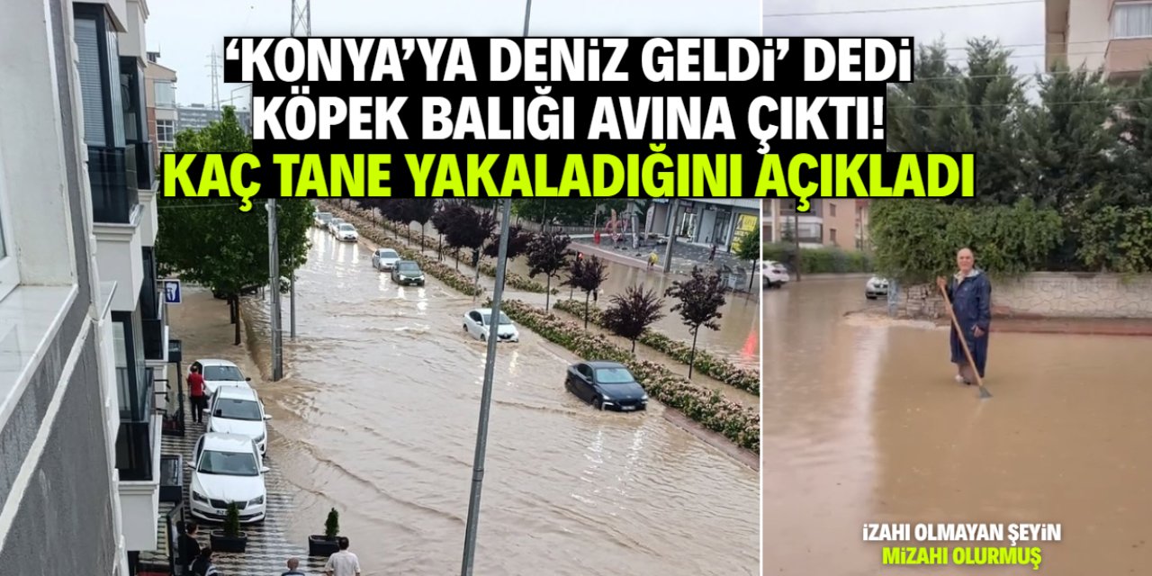 Konya'ya deniz geldiğini söyleyen vatandaş köpek balığı avına çıktı!
