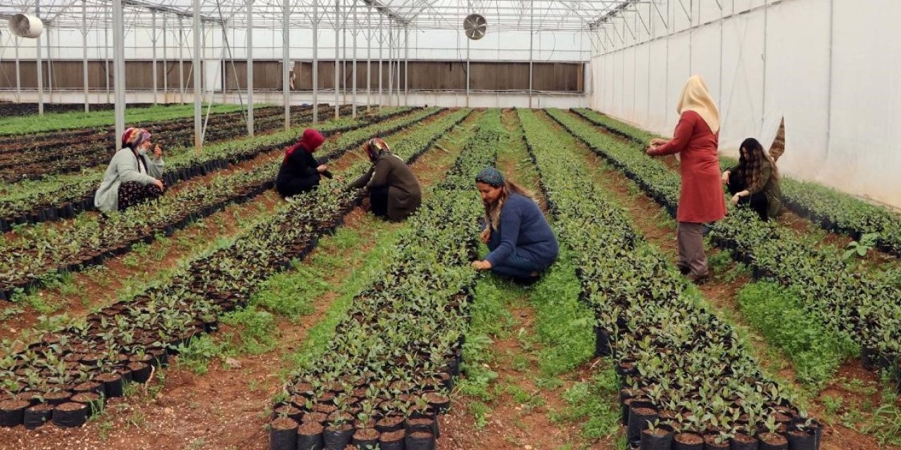 Kırsaldaki üreticilere ödenen miktar açıklandı