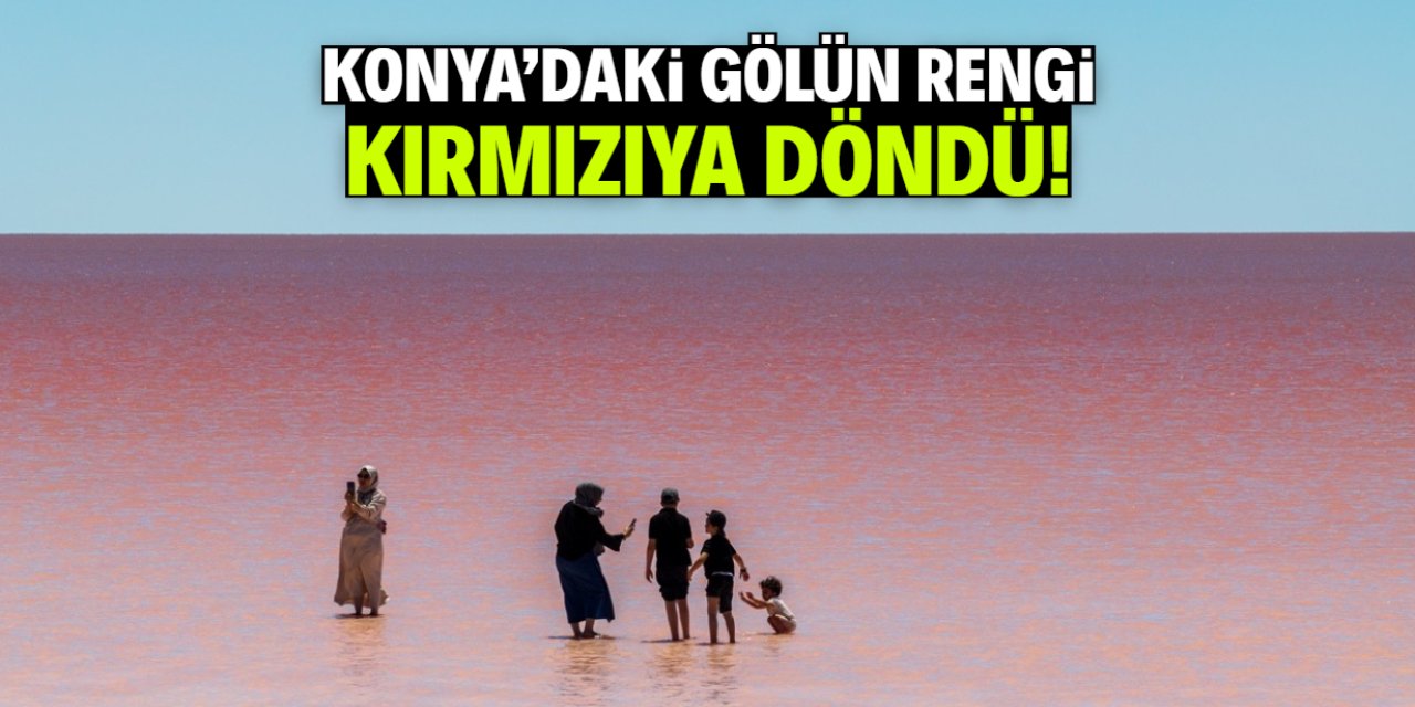 Konya'daki gölün rengi kırmızıya döndü: Nedeni tespit edildi!