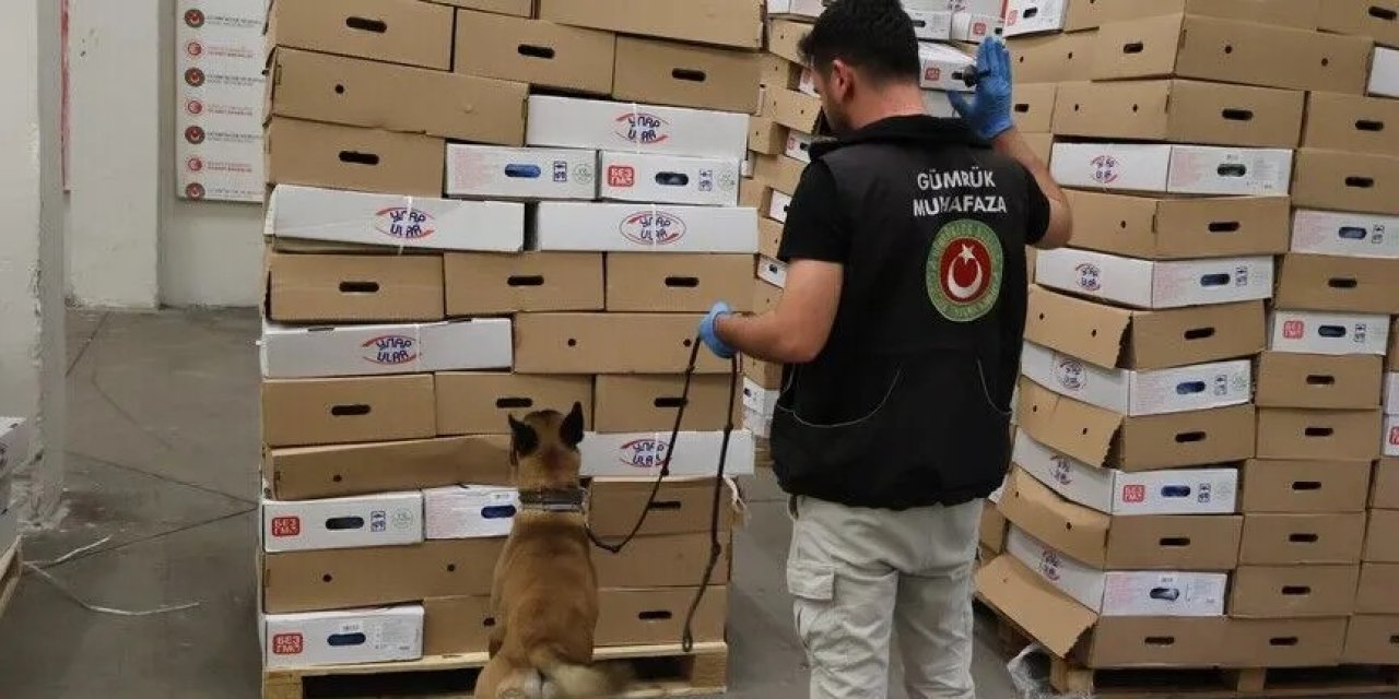 Gümrükte 1,2 ton uyuşturucu ele geçirildi