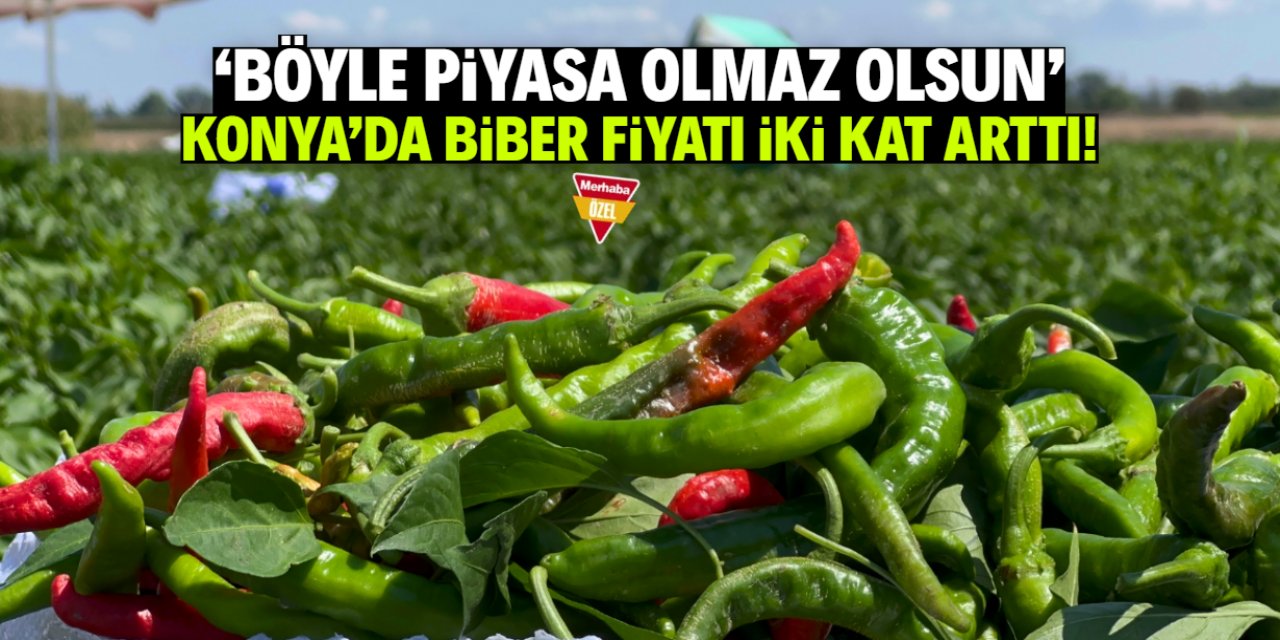 Konya'da biber fiyatı en az iki katına çıktı! Vatandaş isyan etti