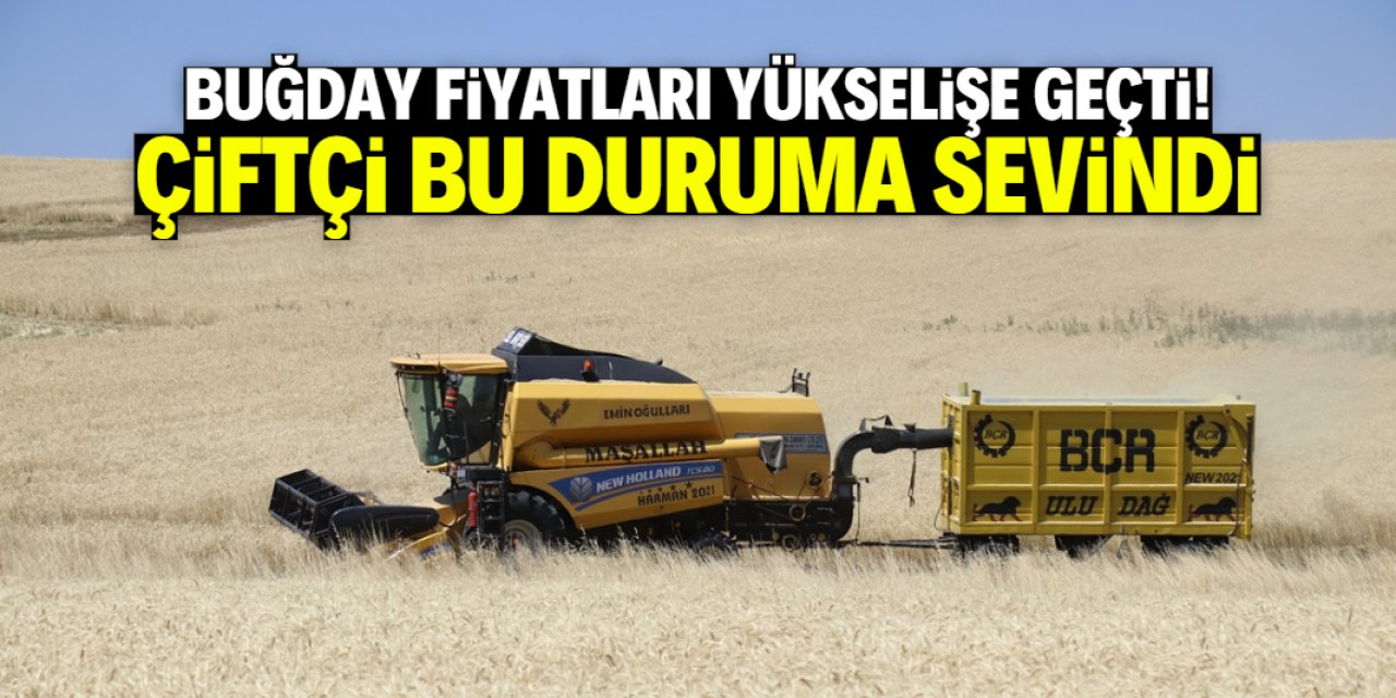 Buğday fiyatları yükselişe geçti! Çiftçi sevindi