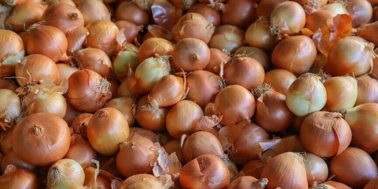 Kuru soğanda gümrük vergisi yüzde 5'e indirildi