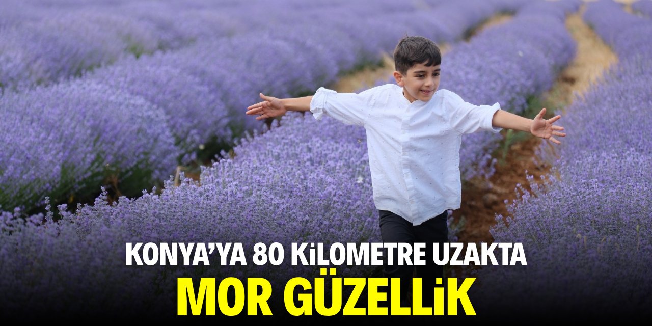 Konya'ya 80 kilometre uzakta mor güzellik