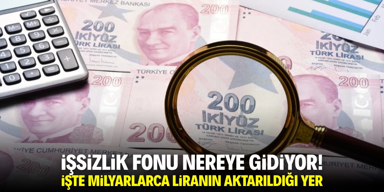 İşsizlik fonu nereye gidiyor? İşte milyarlarca liranın aktarıldığı yer