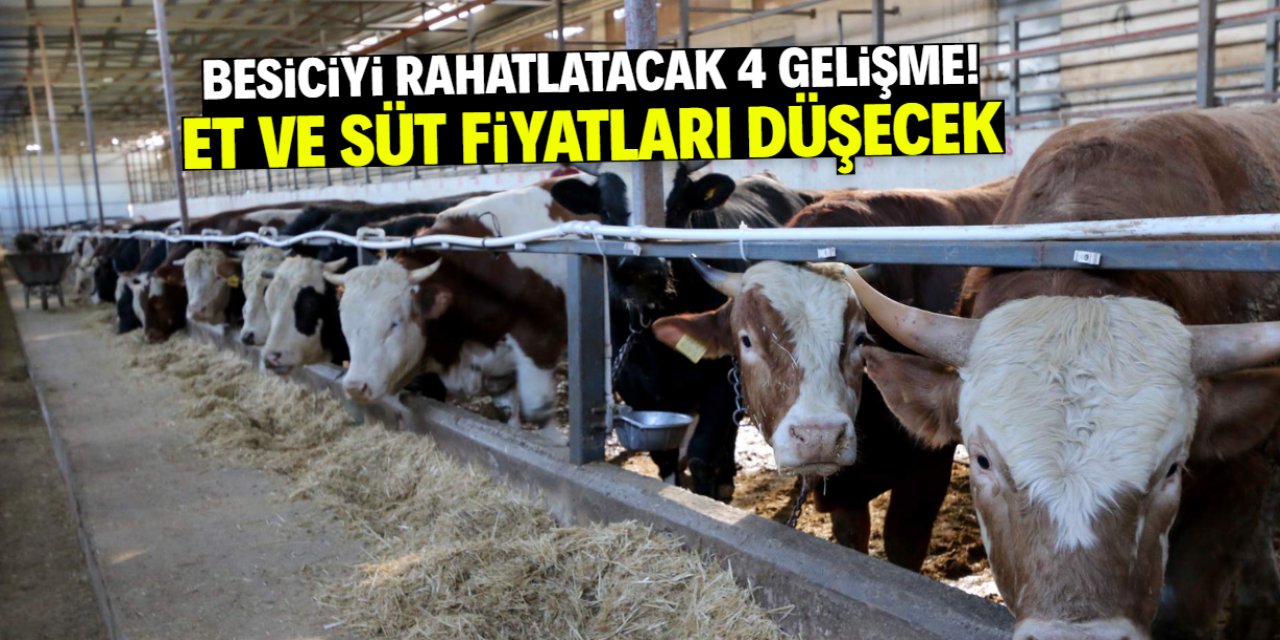 Et ve süt fiyatları düşecek! Besiciyi rahatlatacak 4 gelişme yaşandı