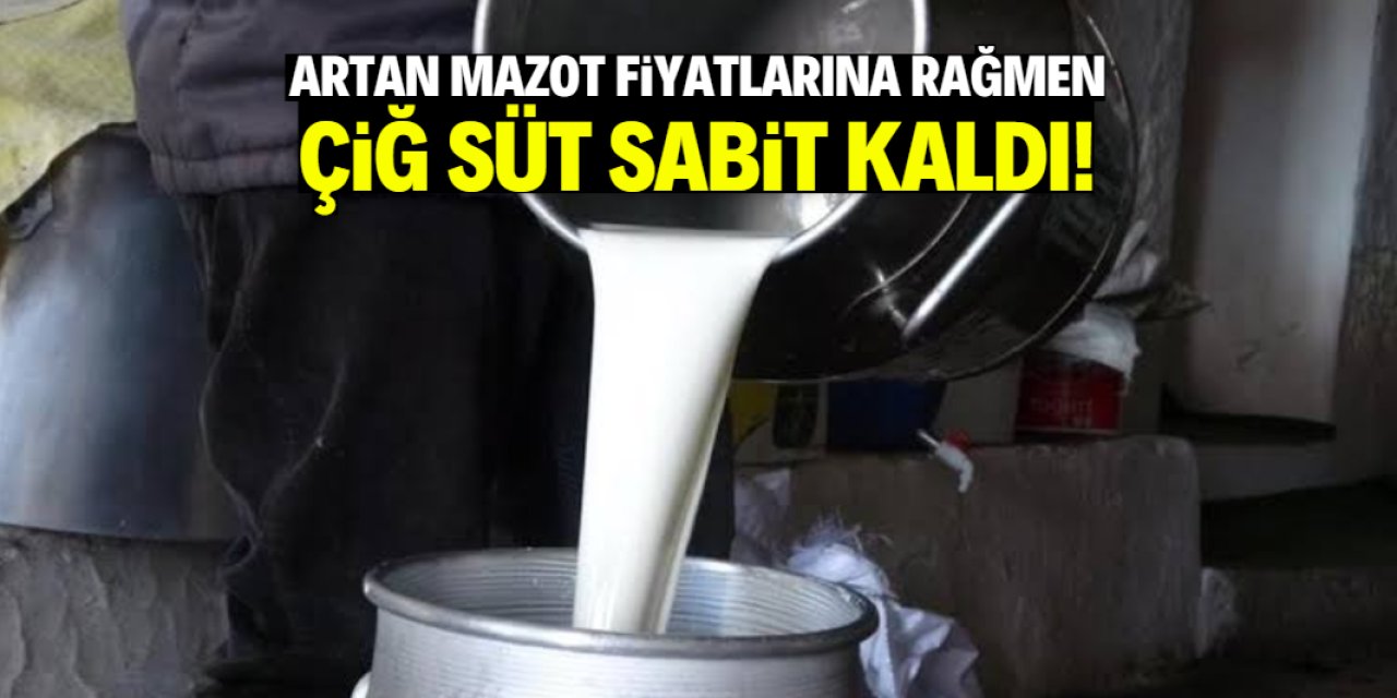 Artan mazot fiyatlarına rağmen çiğ süt sabit kaldı!