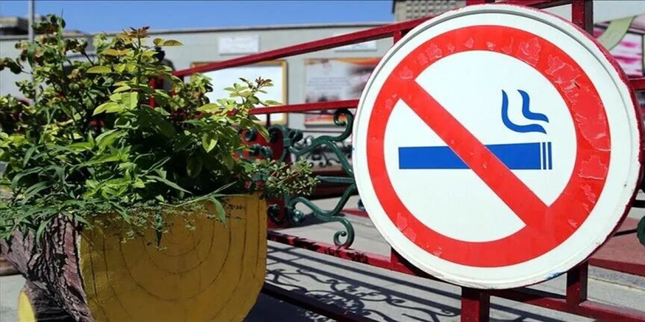 Dumansız hava sahasında 17 yılda ne kadar denetim yapıldı?