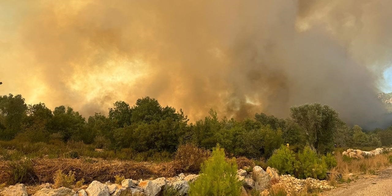 Ormanlık alandaki yangına müdahale