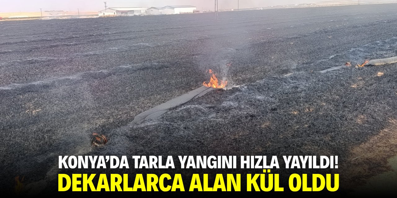 Konya'da tarla yangını hızla yayıldı! Dekarlarca alan kül oldu
