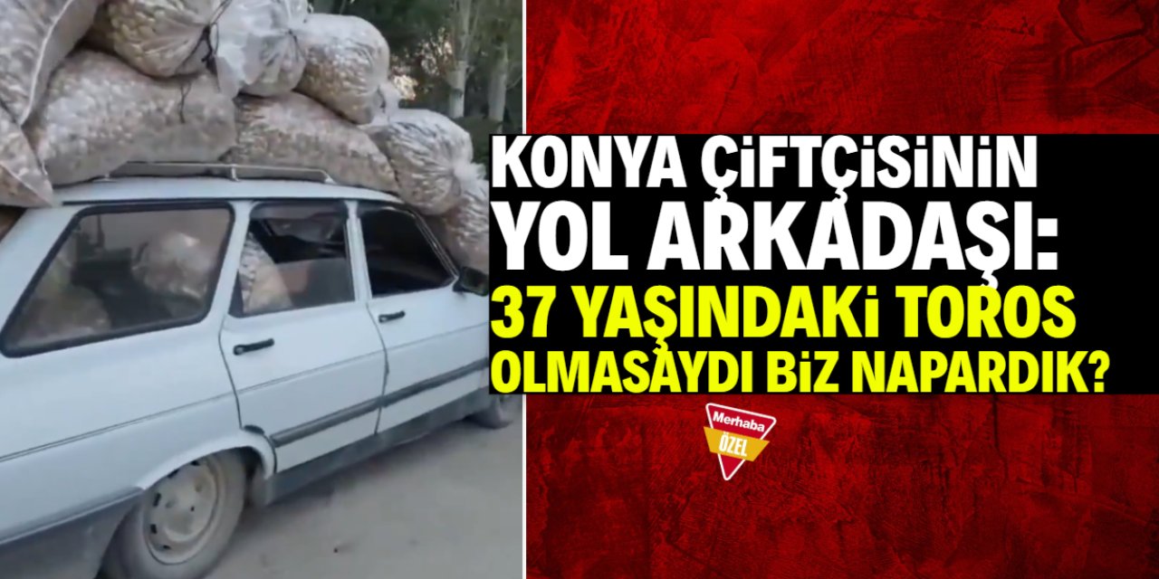 Konya çiftçisinin cefakar yol arkadaşı: 37 yıldır çekmediği yük kalmadı