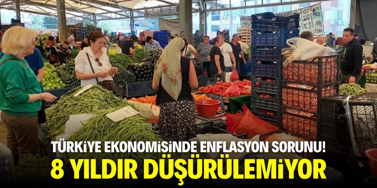 Türkiye ekonomisinde enflasyon sorunu! 8 yıldır düşürülemiyor