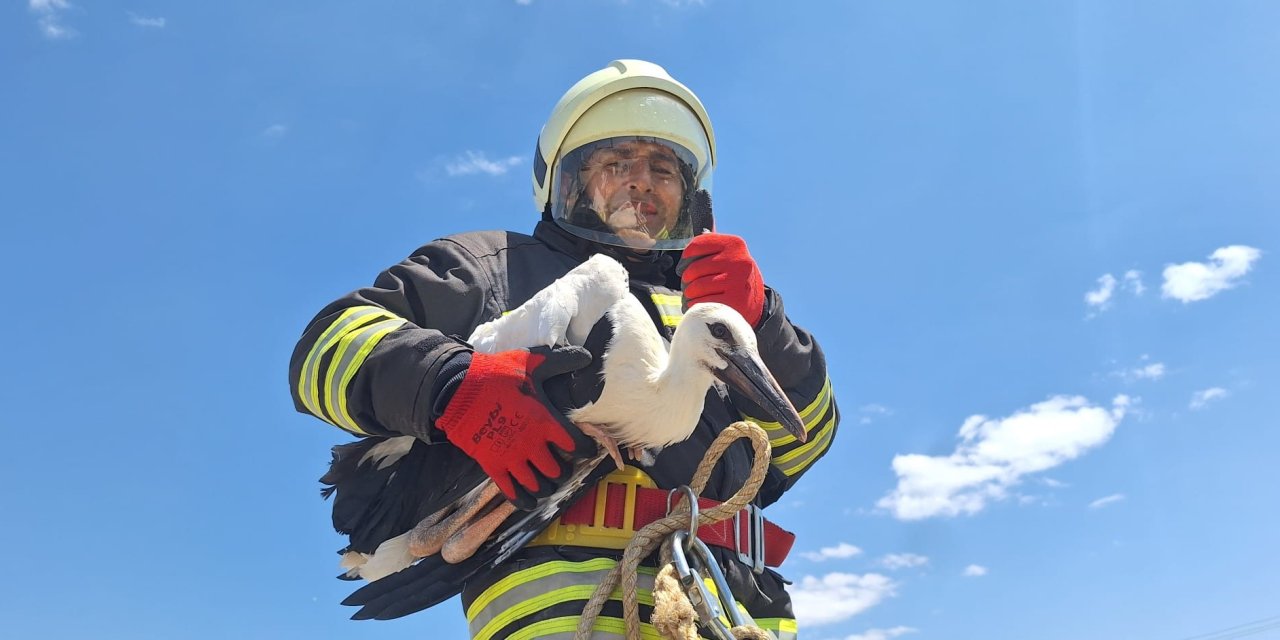 Seydişehir'de yuvadan düşen leylek yavrusu kurtarıldı