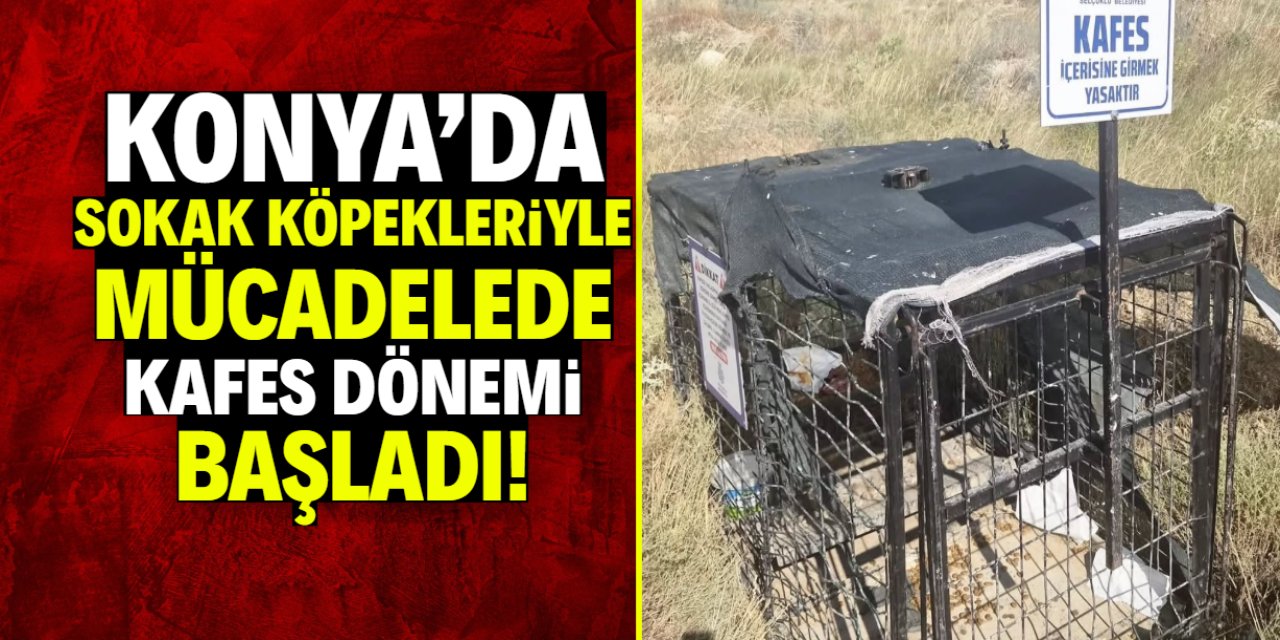 Konya’da sokak köpekleriyle mücadelede yeni dönem! Kafesler kuruldu