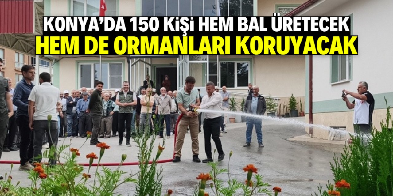 Konya'da 150 kişi sadece bal üretmeyecek, ormanları da koruyacak