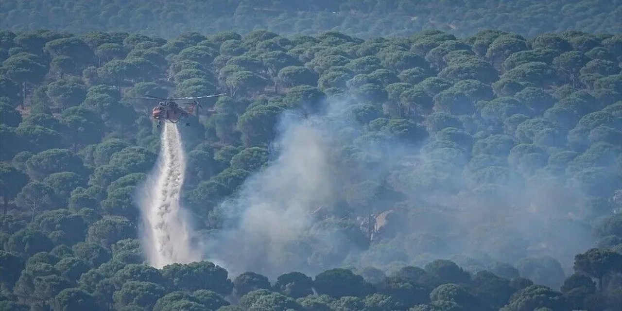 Orman yangınlarında son durum açıklandı