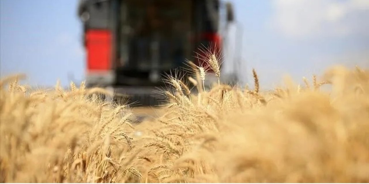 Küresel gıda fiyatlarında yükseliş