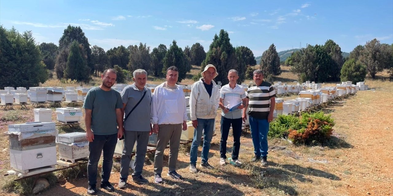 Beyşehir'de kovan sayımı yapıldı