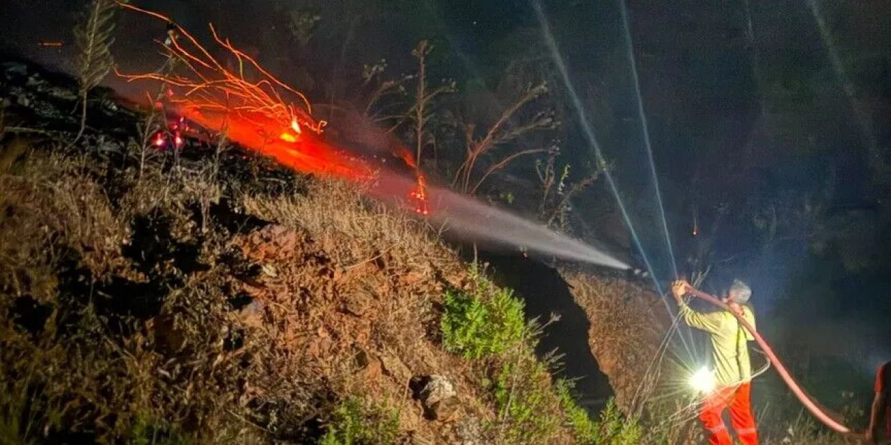 Biri bitiyor diğeri başlıyor! Ormanlar kül oluyor