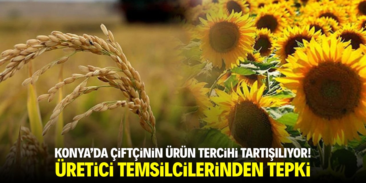 Konya'da çiftçinin ürün tercihi tartışılıyor! Üretici temsilcilerinden tepki
