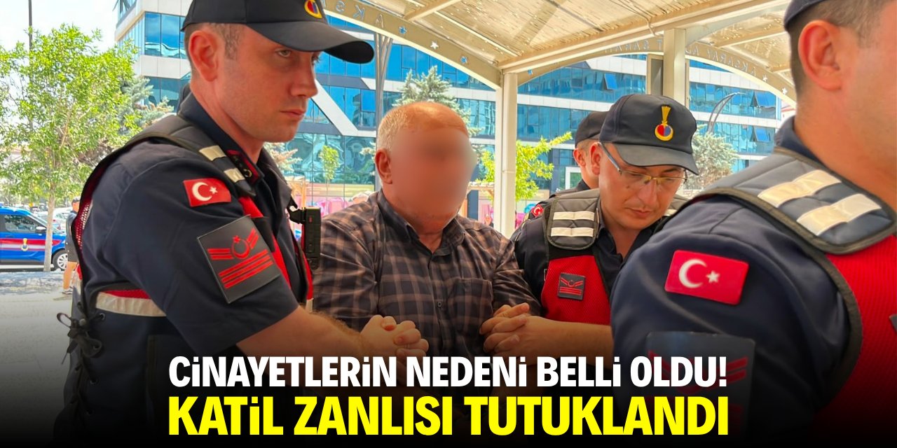 Cinayetlerin nedeni belli oldu! Katil zanlısı tutuklandı